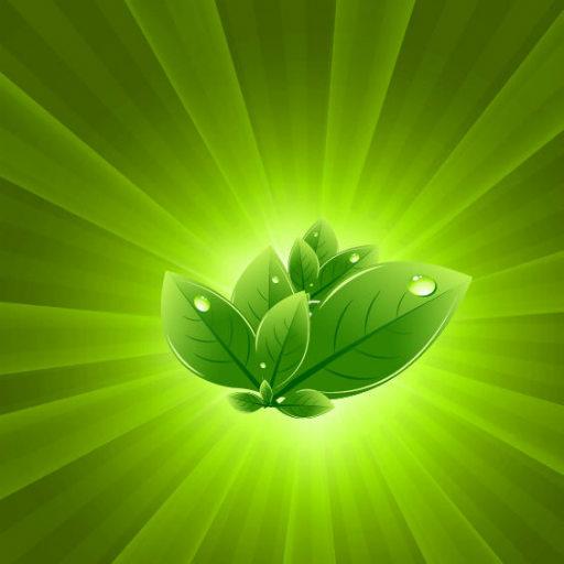 Medicinal plants