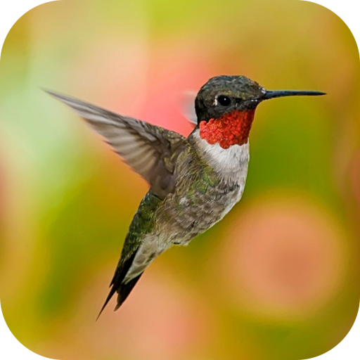 Inspirational Quotes & Sayings