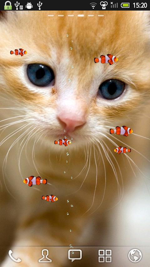 KITTY & FISH LIVE WALLPAPER(1)