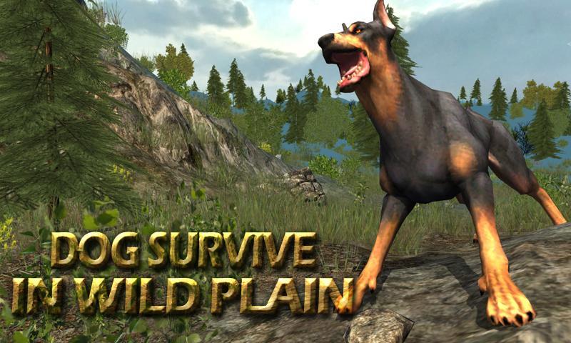 Dog Survive In Wild Plain