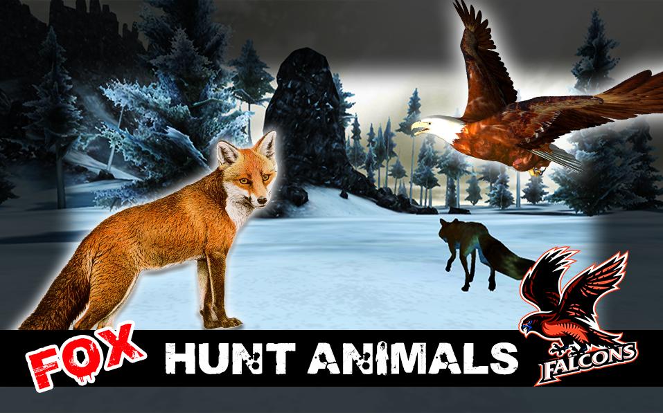 Safari Hunt and Drive